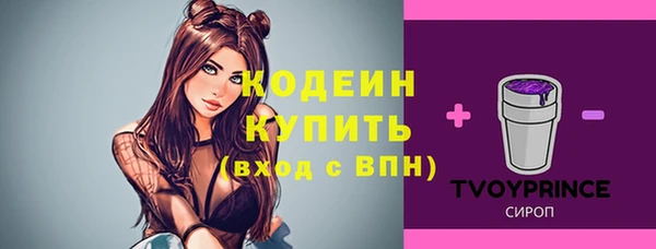 a pvp Краснослободск
