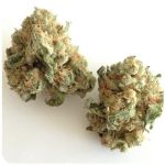 Шишки "White Widow"  (Белая вдова)  Гидропоника -  Бошка VHQ в Лысково